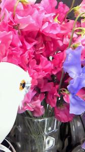 入荷しました！｜「オリオンフラワー」　（山梨県甲府市の花キューピット加盟店 花屋）のブログ