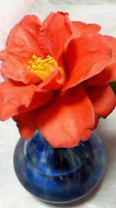つばき｜「オリオンフラワー」　（山梨県甲府市の花キューピット加盟店 花屋）のブログ